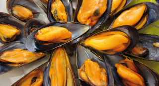 receta simple y sencilla Mejillones al vapor