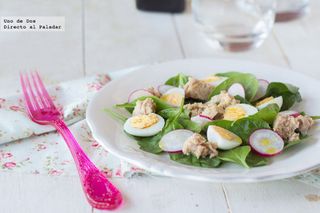 receta simple y sencilla Ensalada Coherente con atún y rabanitos